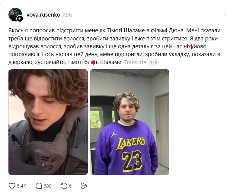 Коли Тімоті Шаламе - твоя жалюгідна підробка - фото 885841