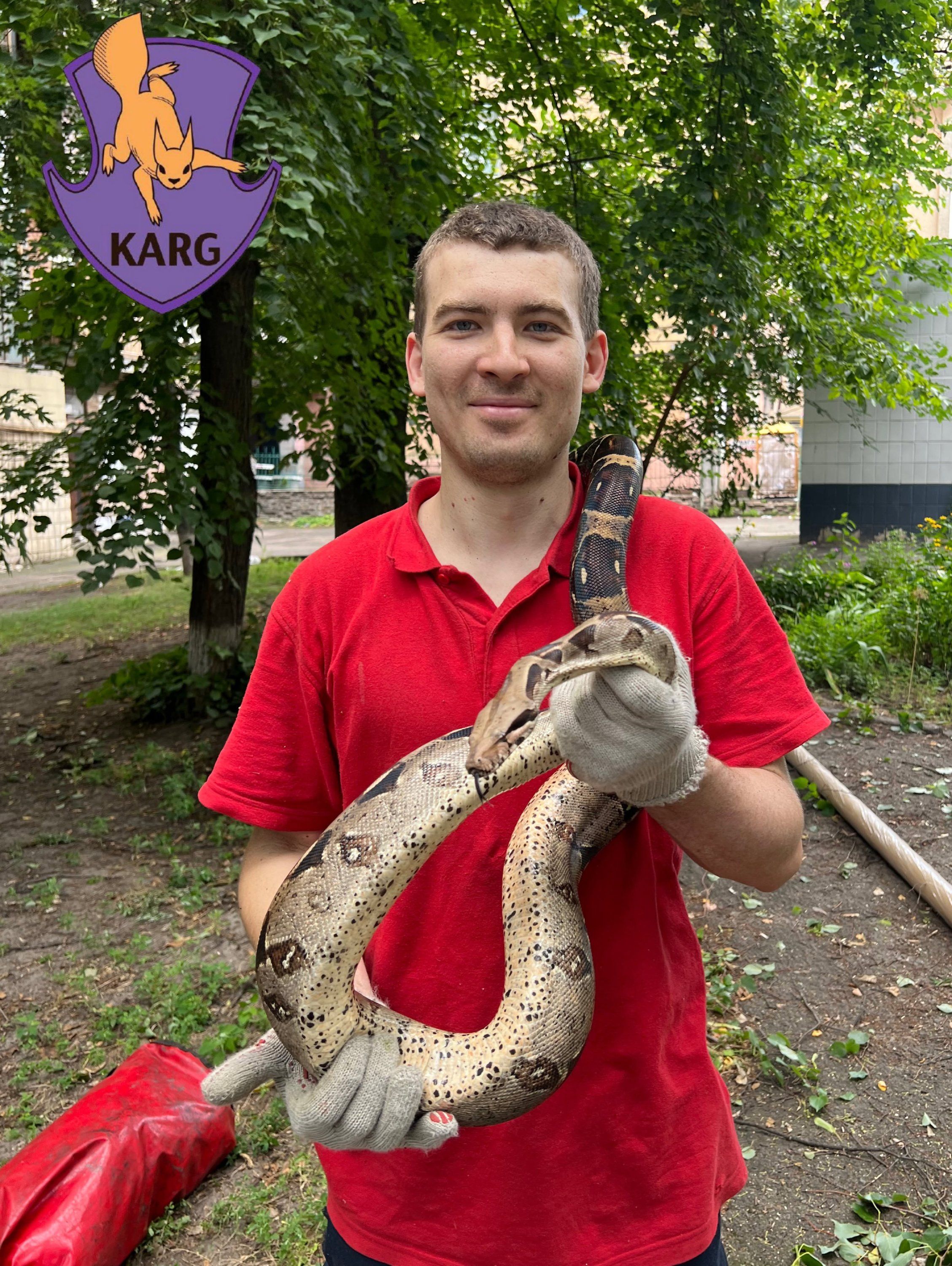 Беглец года: в Киеве императорский удав сбежал от хозяев и отдыхал на дереве - 886148 Беглец года: в Киеве императорский удав сбежал от хозяев и отдыхал на дереве - фото 886148