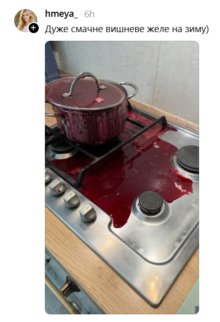 Украинцы продемонстрировали свои кулинарные провалы и доказали: главное – не идеальное блюдо, а хорошее настроение - фото 886519