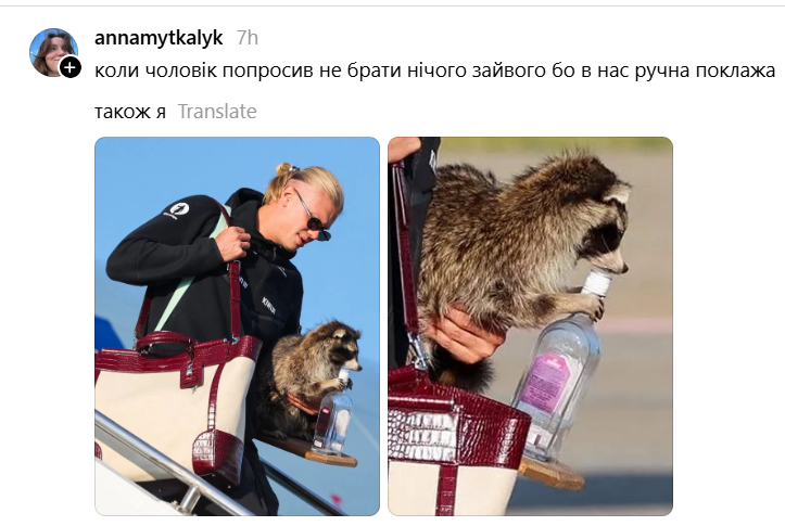 Эрлинг Холанд был замечен с чучелом енота, держащим бутылку джина в лапках - фото 886607