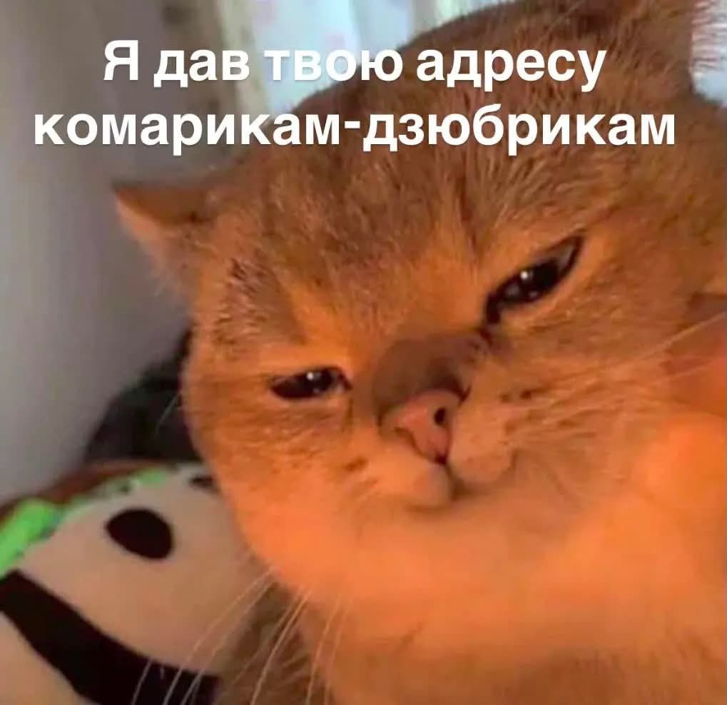 Украинцы делятся своими любимыми мемами 2026 года - 887147 Украинцы делятся своими любимыми мемами 2026 года - фото 887147