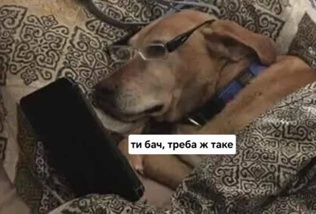 Украинцы делятся своими любимыми мемами 2026 года - 887152 Украинцы делятся своими любимыми мемами 2026 года - фото 887152