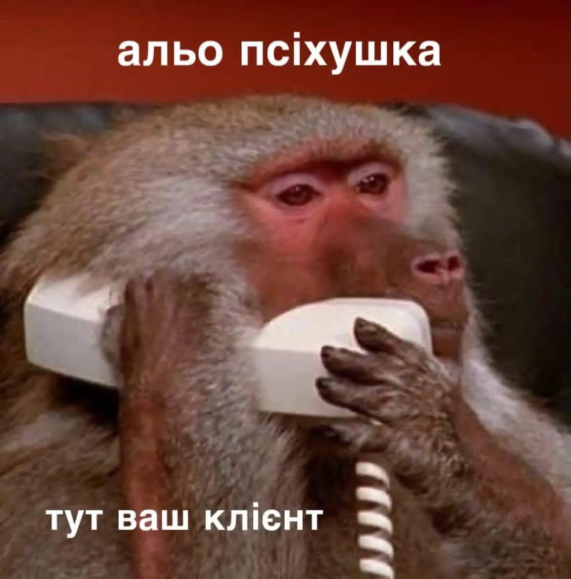 Украинцы делятся своими любимыми мемами 2026 года - 887154 Украинцы делятся своими любимыми мемами 2026 года - фото 887154