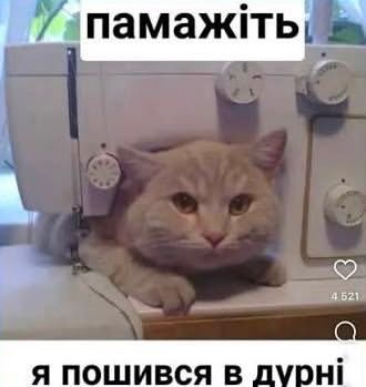 Украинцы делятся своими любимыми мемами 2026 года - 887161 Украинцы делятся своими любимыми мемами 2026 года - фото 887161