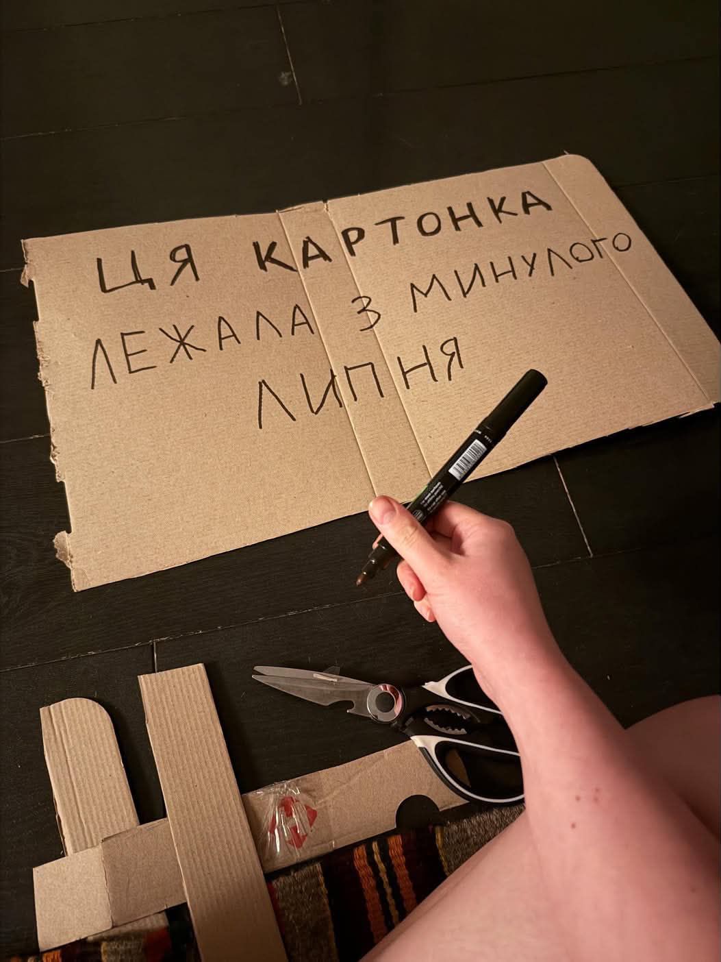 Картонки для підтримки Михайла Федорова - фото 887481