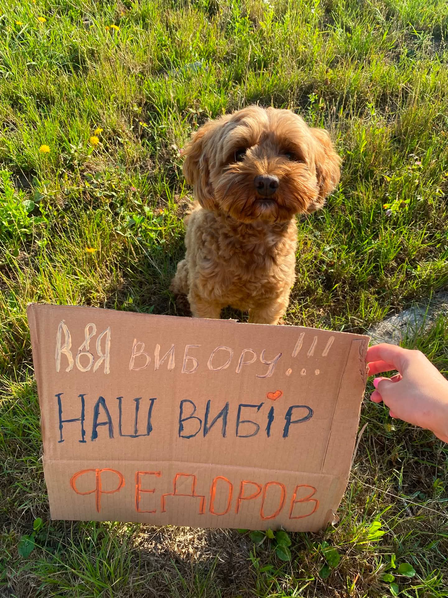 Картонки для підтримки Михайла Федорова - фото 887492
