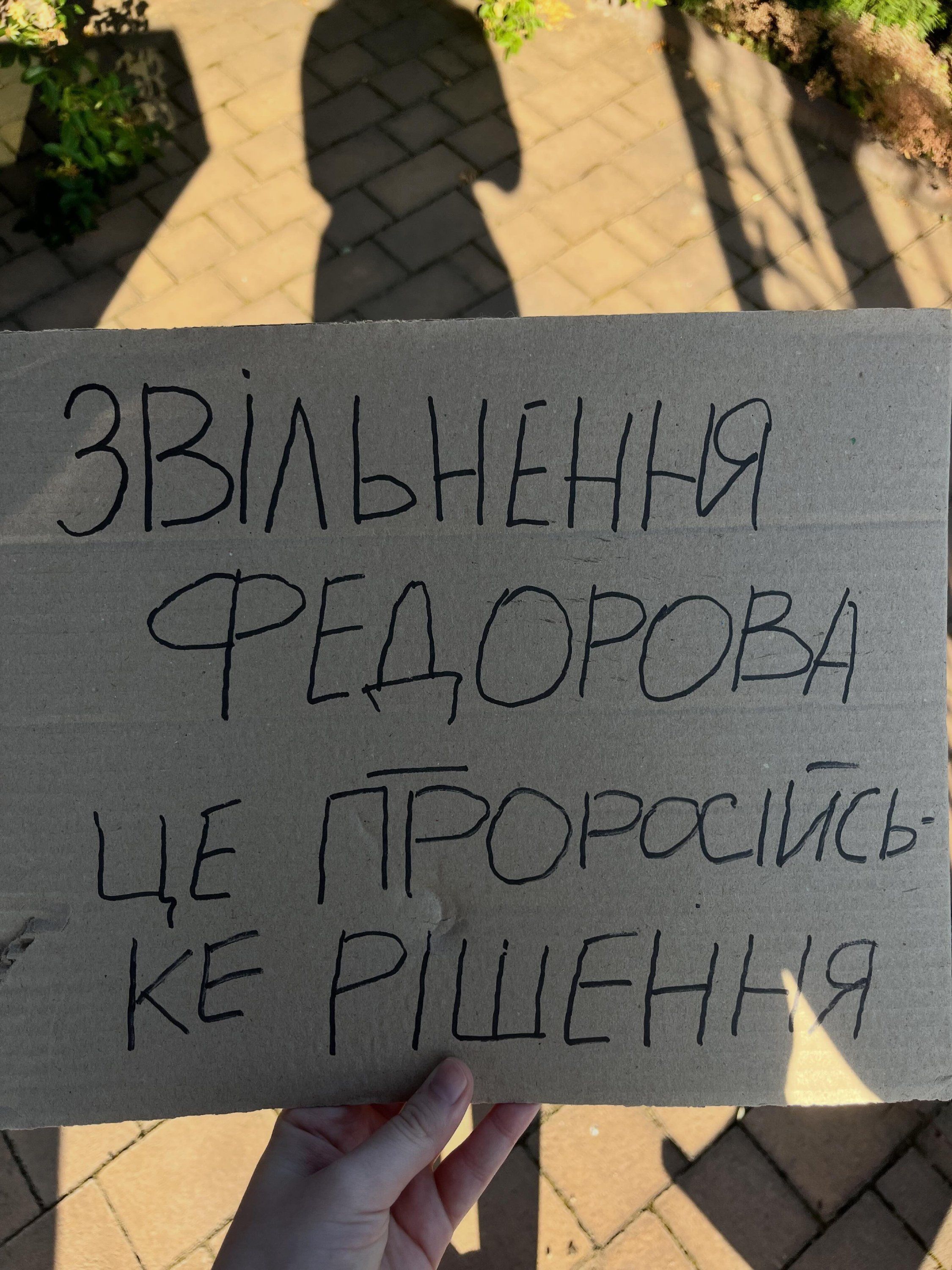 Картонки для підтримки Михайла Федорова - фото 887500