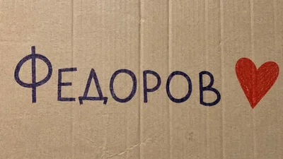 Українці вийшли на мітинги проти звільнення Федорова, і їхні картонки - гучніші тисячі слів