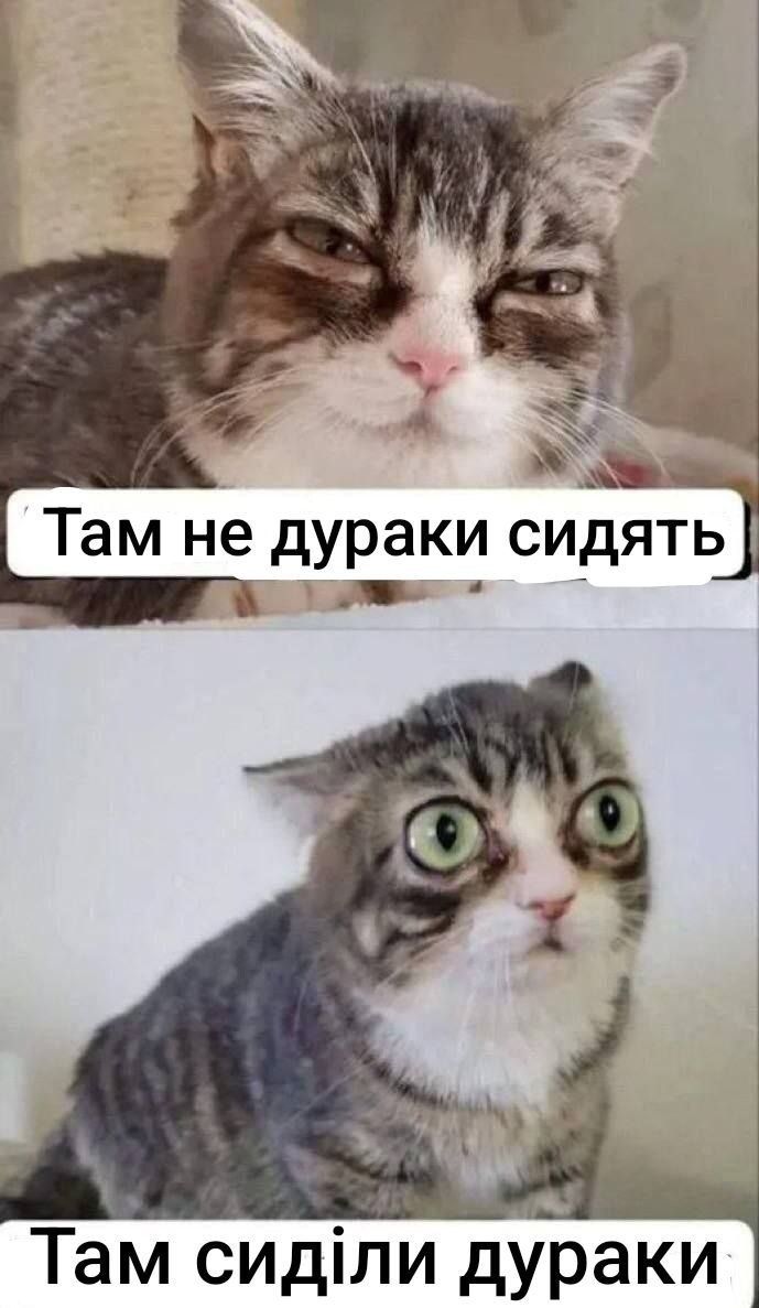 Мемы об увольнении Федорова, в которых высмеивается решение Зеленского - фото 887515