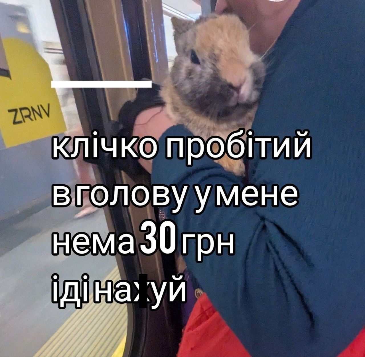 Кияни скористалися метро за 30 грн, і ось їхня чесна реакція в мемах - 887746 Кияни скористалися метро за 30 грн, і ось їхня чесна реакція в мемах - фото 887746