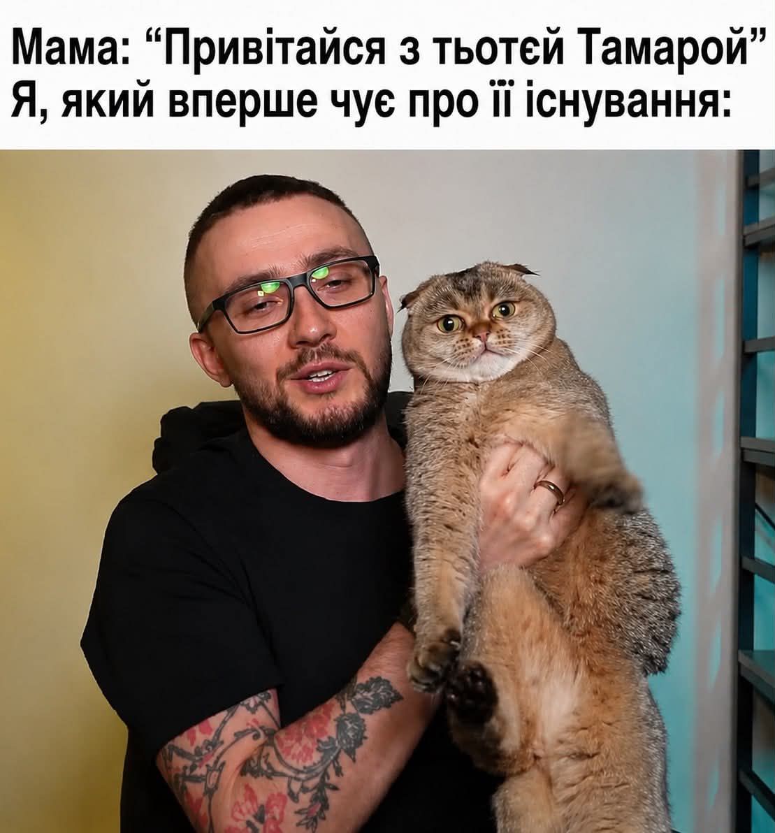 Кішка Сергія Стерненка підкорила Threads і стала мемом - 888170 Кішка Сергія Стерненка підкорила Threads і стала мемом - фото 888170