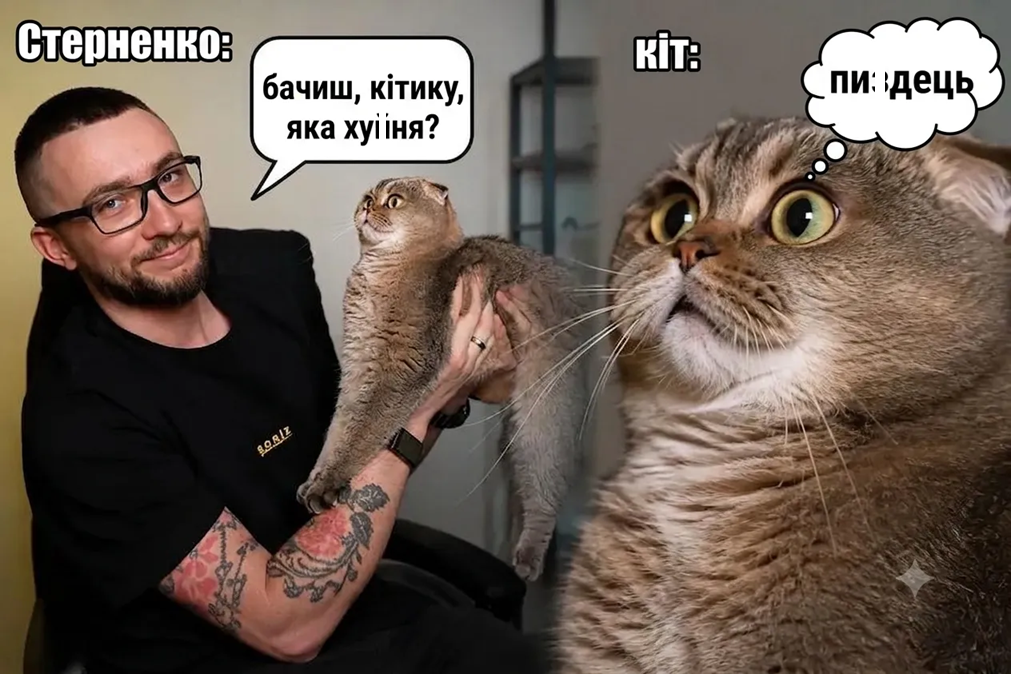 Кішка Сергія Стерненка підкорила Threads і стала мемом - 888176 Кішка Сергія Стерненка підкорила Threads і стала мемом - фото 888176