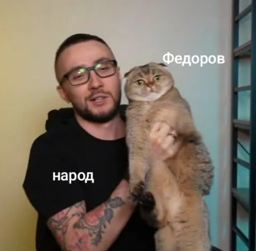 Кішка Сергія Стерненка підкорила Threads і стала мемом - 888181 Кішка Сергія Стерненка підкорила Threads і стала мемом - фото 888181