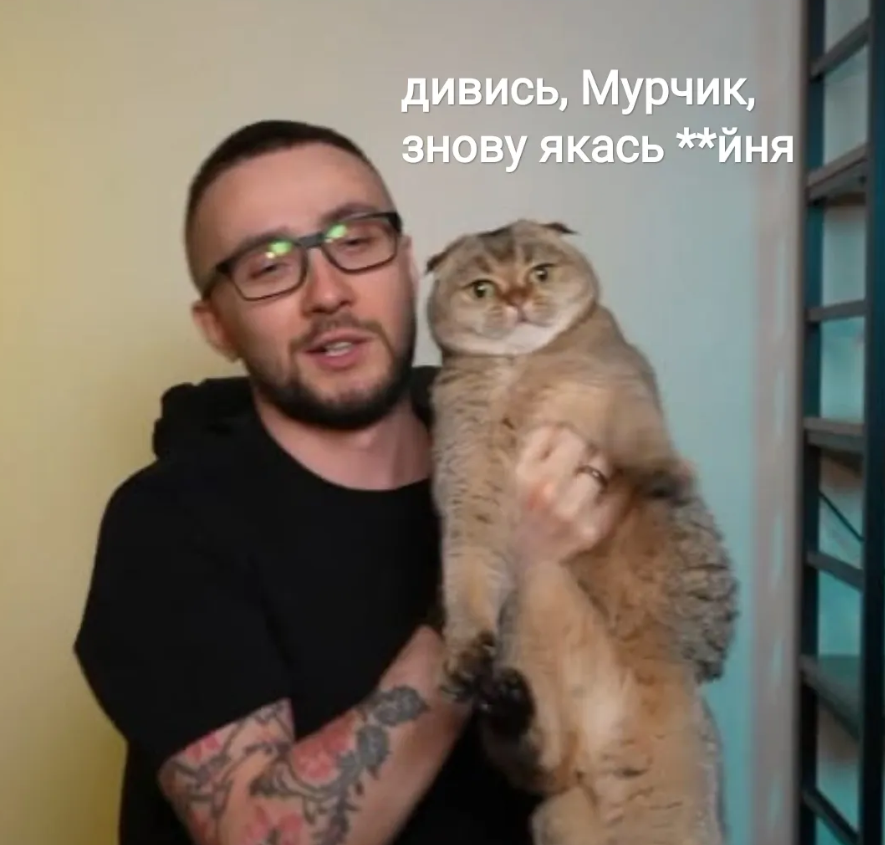 Кішка Сергія Стерненка підкорила Threads і стала мемом - 888185 Кішка Сергія Стерненка підкорила Threads і стала мемом - фото 888185