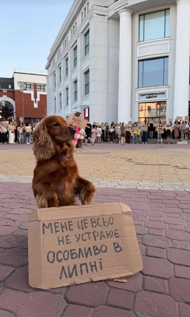 Пушистые демонстранты: вот какие собачки вышли на протесты в Украине - 888799 Пушистые демонстранты: вот какие собачки вышли на протесты в Украине - фото 888799