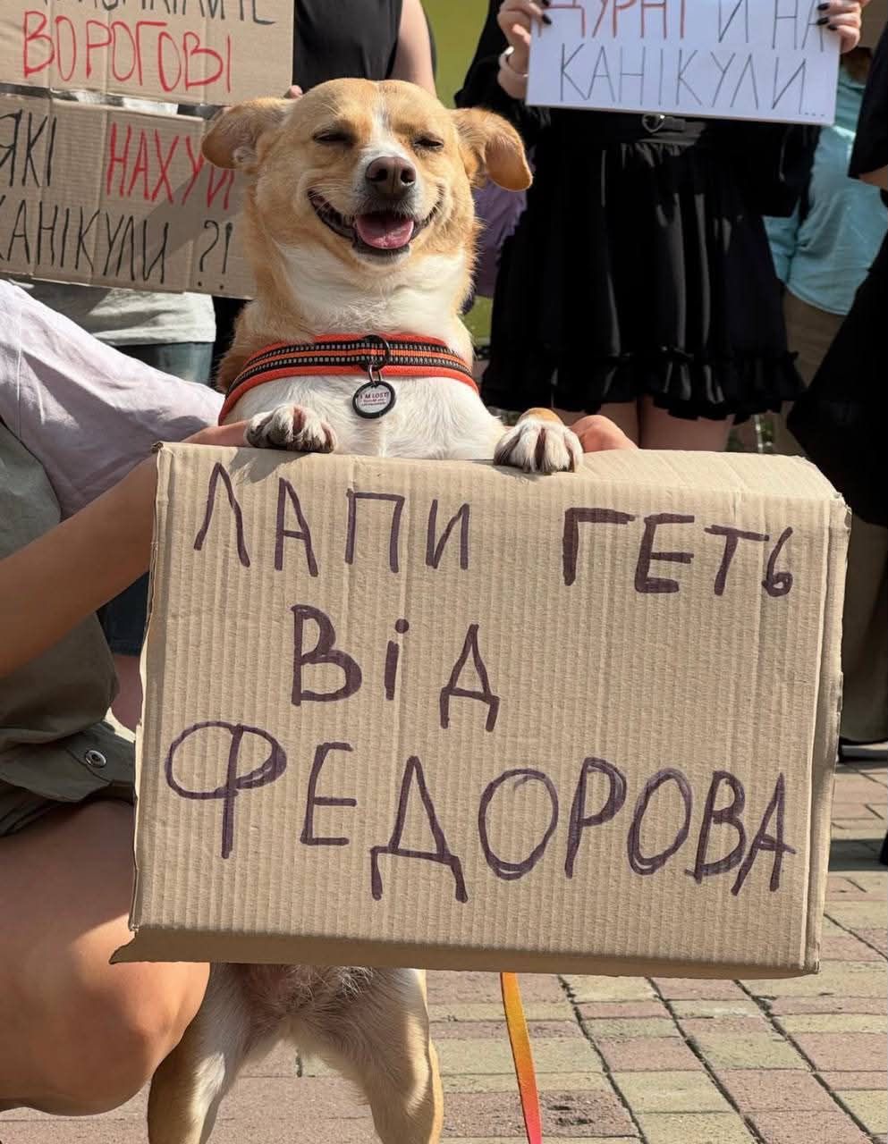 Пушистые демонстранты: вот какие собачки вышли на протесты в Украине - 888800 Пушистые демонстранты: вот какие собачки вышли на протесты в Украине - фото 888800