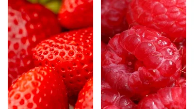 Полуниця vs малина: яка ягода корисніша