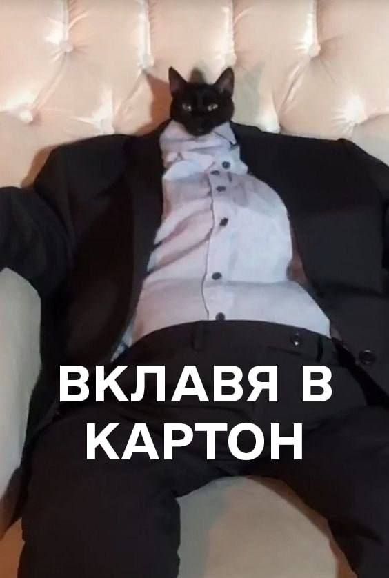 Меми про людей з картонками на мітингах у підтримку Михайла Федорова - 889070 Меми про людей з картонками на мітингах у підтримку Михайла Федорова - фото 889070