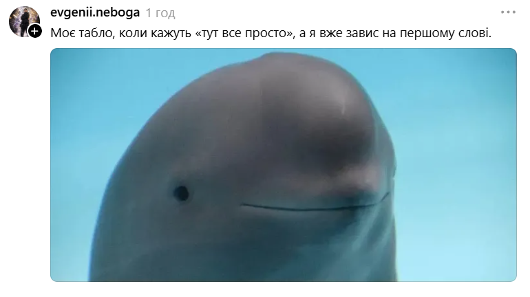 Білуха з іронічною посмішкою стала зіркою мемів у Threads - 889725 Білуха з іронічною посмішкою стала зіркою мемів у Threads - фото 889725