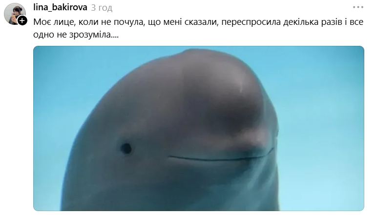 Білуха з іронічною посмішкою стала зіркою мемів у Threads - 889726 Білуха з іронічною посмішкою стала зіркою мемів у Threads - фото 889726