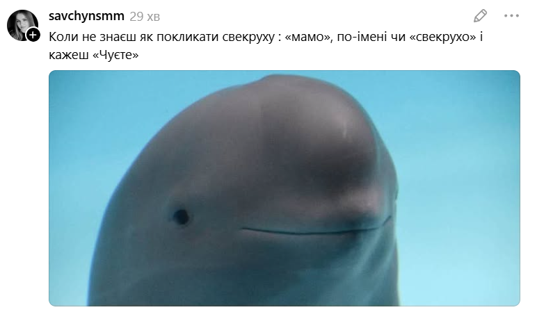 Білуха з іронічною посмішкою стала зіркою мемів у Threads - 889728 Білуха з іронічною посмішкою стала зіркою мемів у Threads - фото 889728