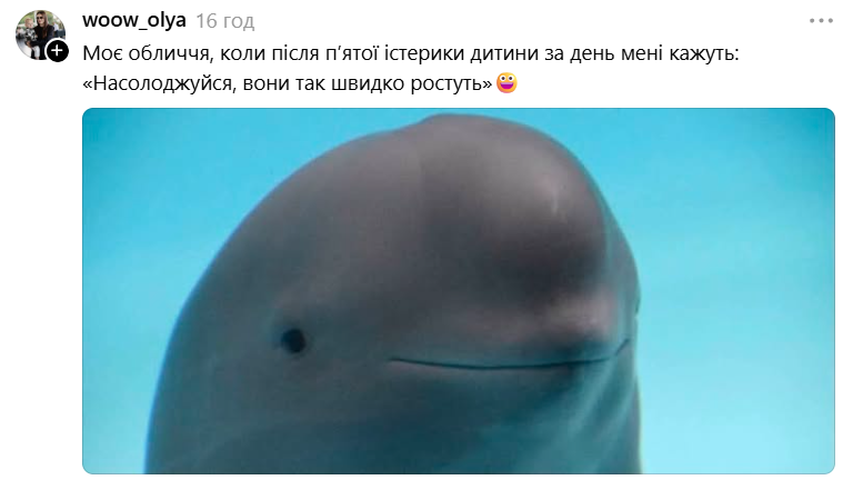 Білуха з іронічною посмішкою стала зіркою мемів у Threads - 889729 Білуха з іронічною посмішкою стала зіркою мемів у Threads - фото 889729