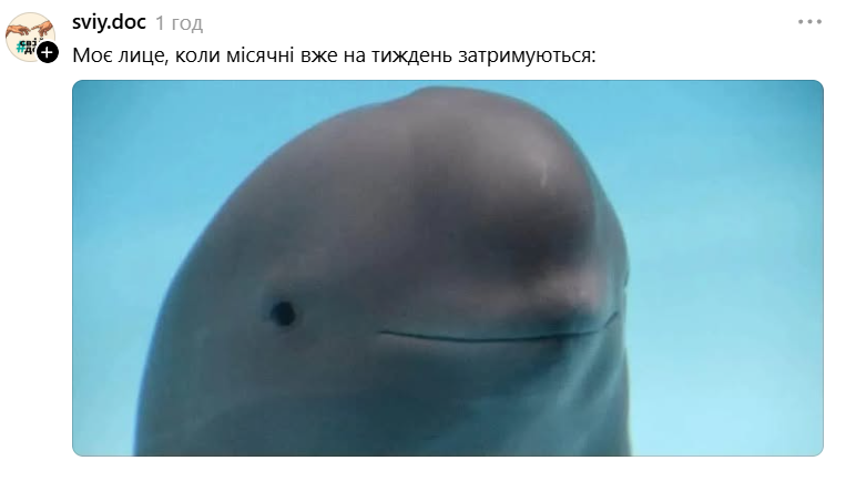 Білуха з іронічною посмішкою стала зіркою мемів у Threads - 889732 Білуха з іронічною посмішкою стала зіркою мемів у Threads - фото 889732