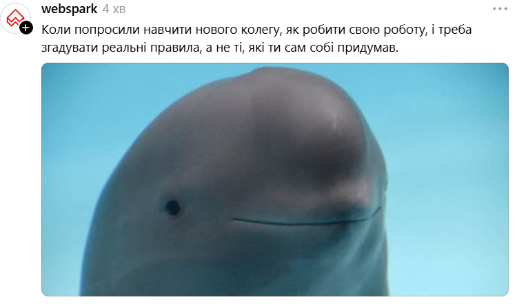 Білуха з іронічною посмішкою стала зіркою мемів у Threads - 889733 Білуха з іронічною посмішкою стала зіркою мемів у Threads - фото 889733
