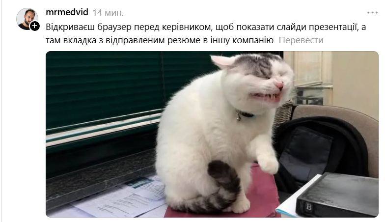 Забавная гримаса этого кота стала новым мемом: это мы все в неловких ситуациях - 890733 Забавная гримаса этого кота стала новым мемом: это мы все в неловких ситуациях - фото 890733