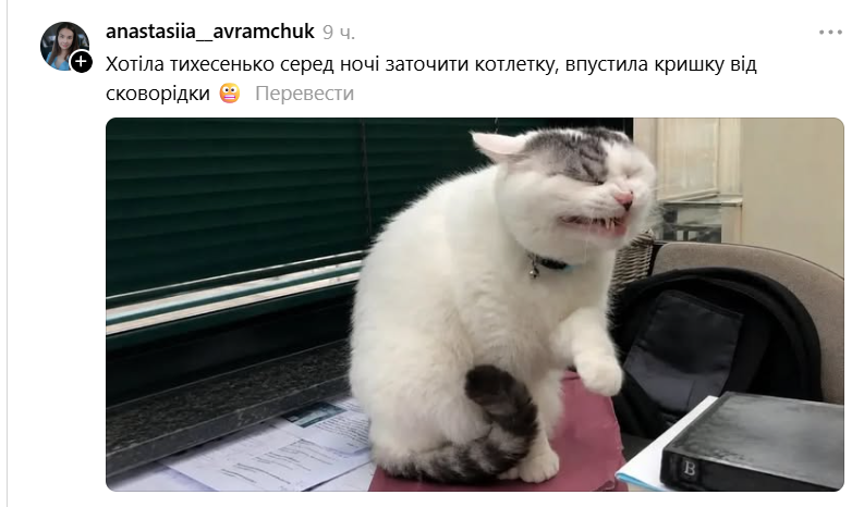 Забавная гримаса этого кота стала новым мемом: это мы все в неловких ситуациях - 890737 Забавная гримаса этого кота стала новым мемом: это мы все в неловких ситуациях - фото 890737