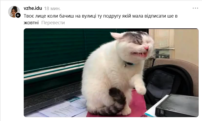 Забавная гримаса этого кота стала новым мемом: это мы все в неловких ситуациях - 890740 Забавная гримаса этого кота стала новым мемом: это мы все в неловких ситуациях - фото 890740