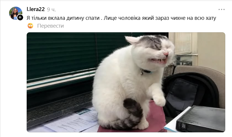 Забавная гримаса этого кота стала новым мемом: это мы все в неловких ситуациях - 890741 Забавная гримаса этого кота стала новым мемом: это мы все в неловких ситуациях - фото 890741