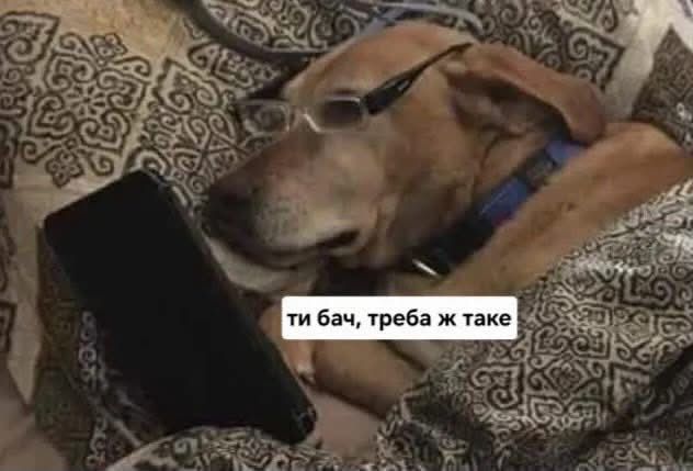 Мемы для важных переговоров, которые можно отправить в любой непонятной ситуации - 891153 Мемы для важных переговоров, которые можно отправить в любой непонятной ситуации - фото 891153