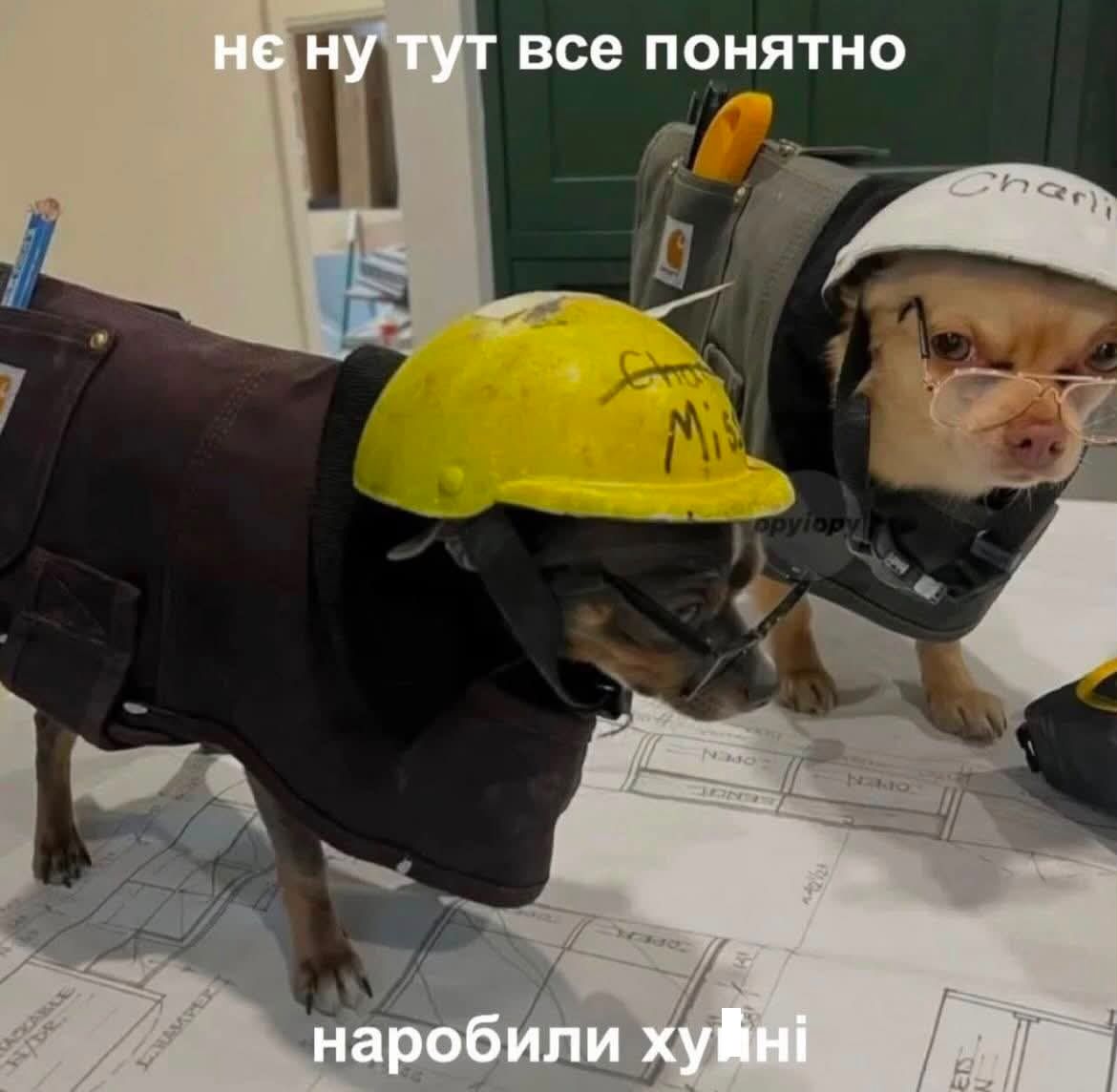 Мемы для важных переговоров, которые можно отправить в любой непонятной ситуации - 891157 Мемы для важных переговоров, которые можно отправить в любой непонятной ситуации - фото 891157