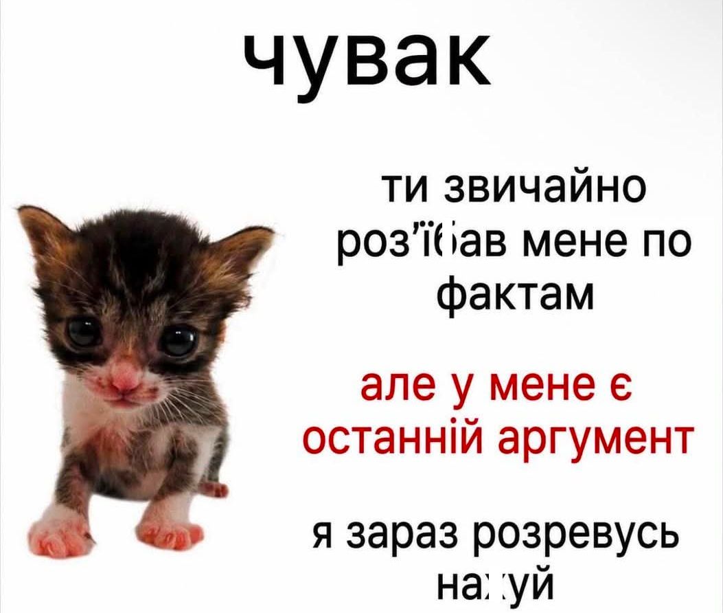 Мемы для важных переговоров, которые можно отправить в любой непонятной ситуации - 891159 Мемы для важных переговоров, которые можно отправить в любой непонятной ситуации - фото 891159