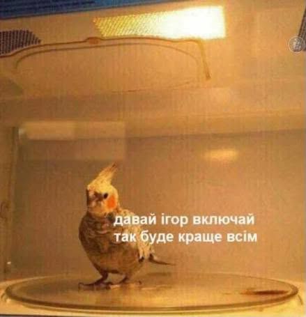 Мемы для важных переговоров, которые можно отправить в любой непонятной ситуации - 891160 Мемы для важных переговоров, которые можно отправить в любой непонятной ситуации - фото 891160