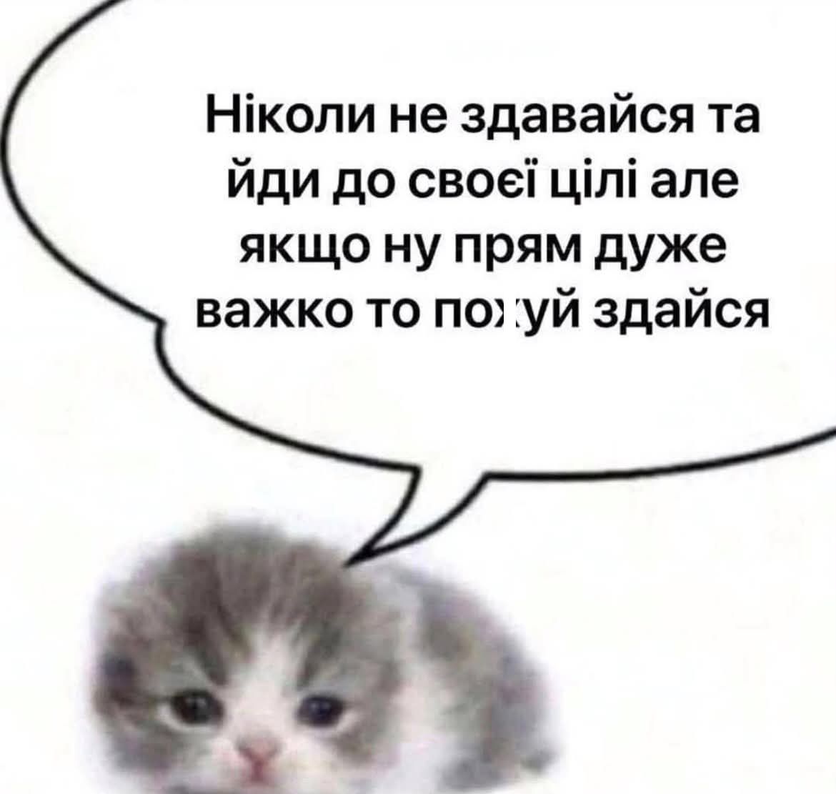 Мемы для важных переговоров, которые можно отправить в любой непонятной ситуации - 891162 Мемы для важных переговоров, которые можно отправить в любой непонятной ситуации - фото 891162