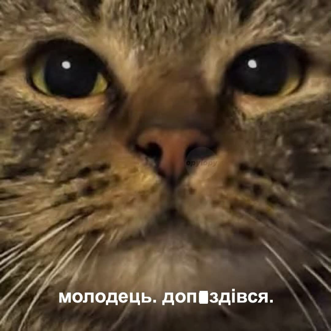 Мемы для важных переговоров, которые можно отправить в любой непонятной ситуации - 891168 Мемы для важных переговоров, которые можно отправить в любой непонятной ситуации - фото 891168