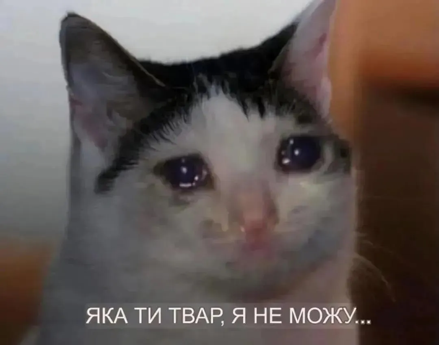 Мемы для важных переговоров, которые можно отправить в любой непонятной ситуации - 891169 Мемы для важных переговоров, которые можно отправить в любой непонятной ситуации - фото 891169