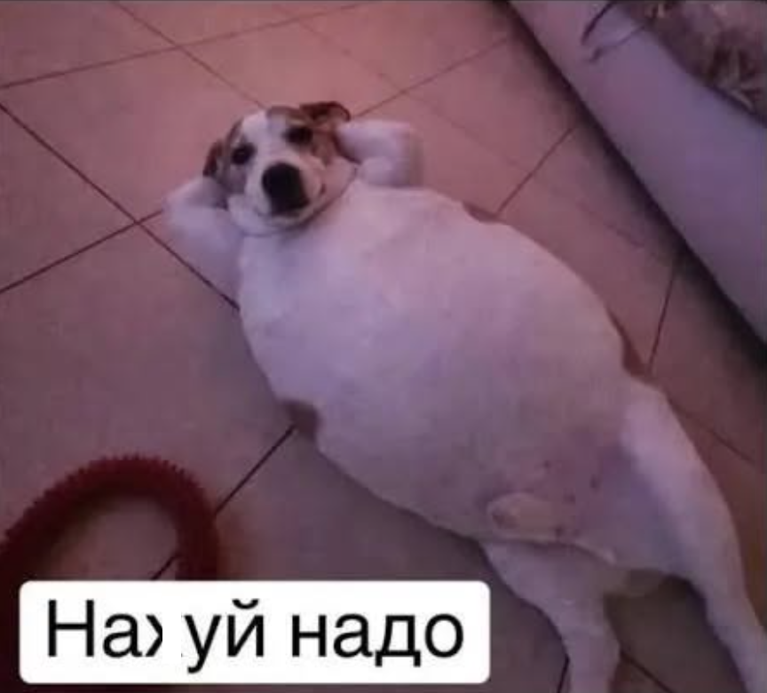 Мемы для важных переговоров, которые можно отправить в любой непонятной ситуации - 891176 Мемы для важных переговоров, которые можно отправить в любой непонятной ситуации - фото 891176