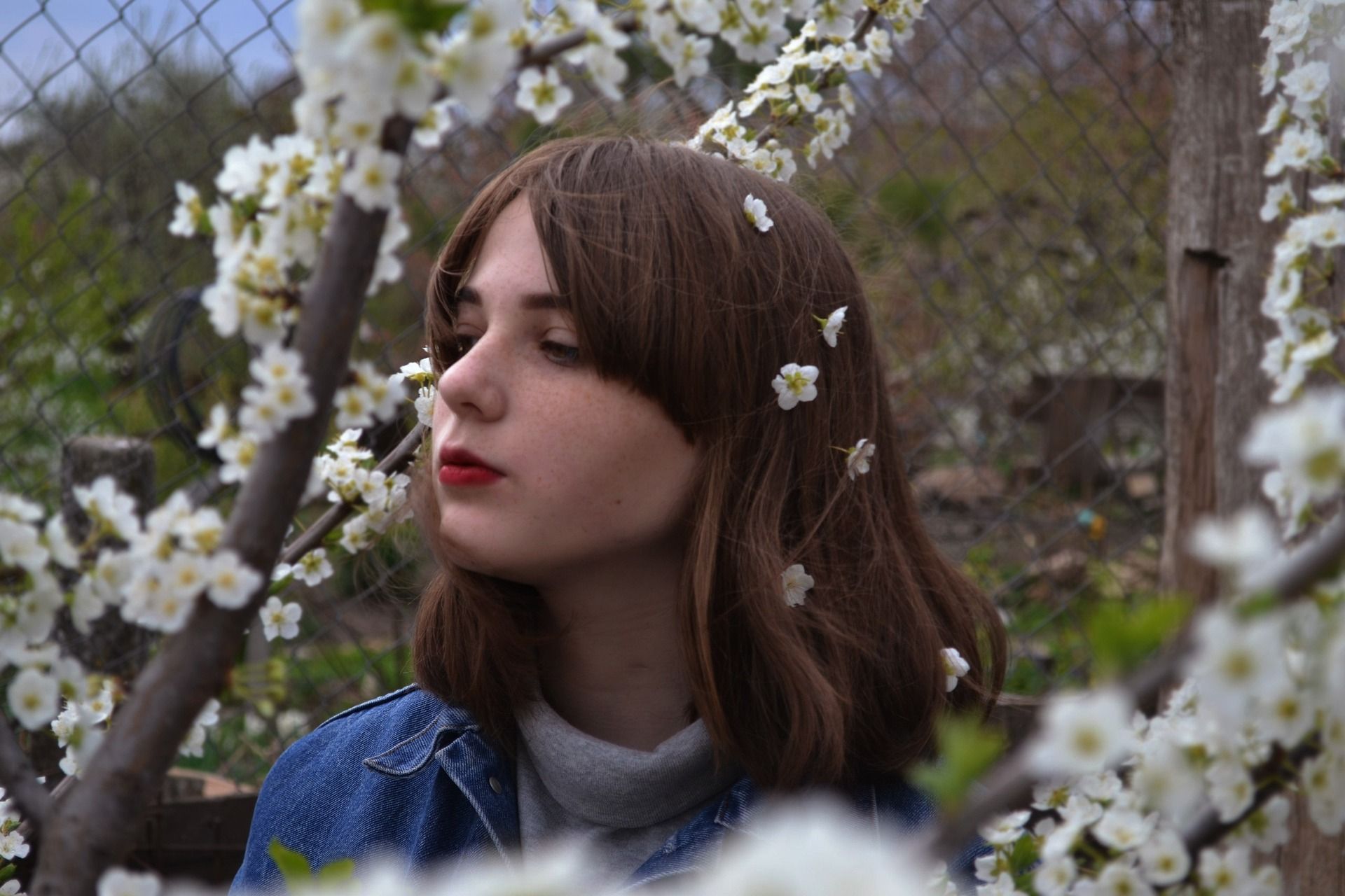 Скорпіон, Козеріг, Діва та Близнююки - фото 892141