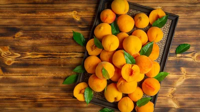 Абрикоси щодня: 7 простих рецептів, які варто приготувати цього літа