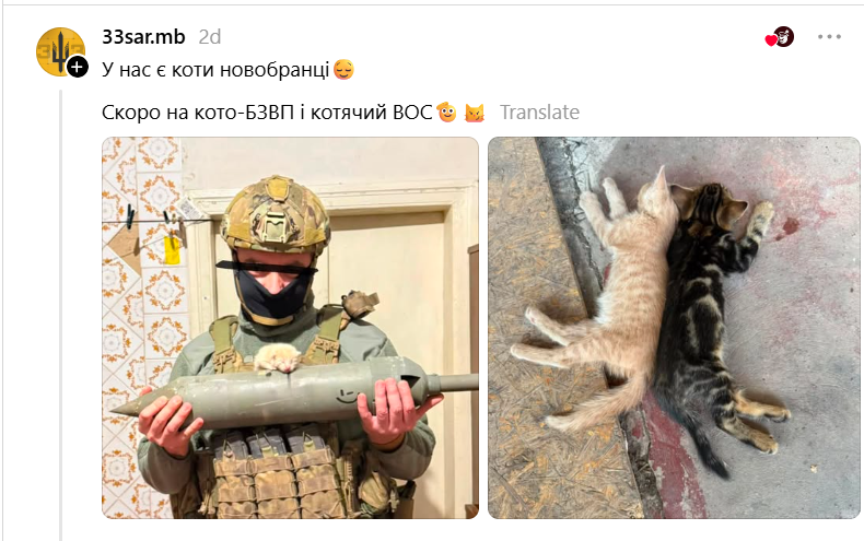 Котенята на службі: українські військові показали своїх пухнастих побратимів - фото 892618