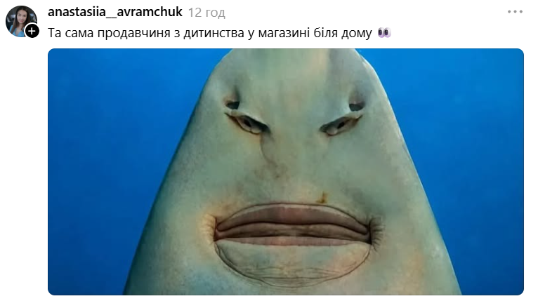 Меми з упоротою акулою, яка стала символом фатальної помилки - фото 893163