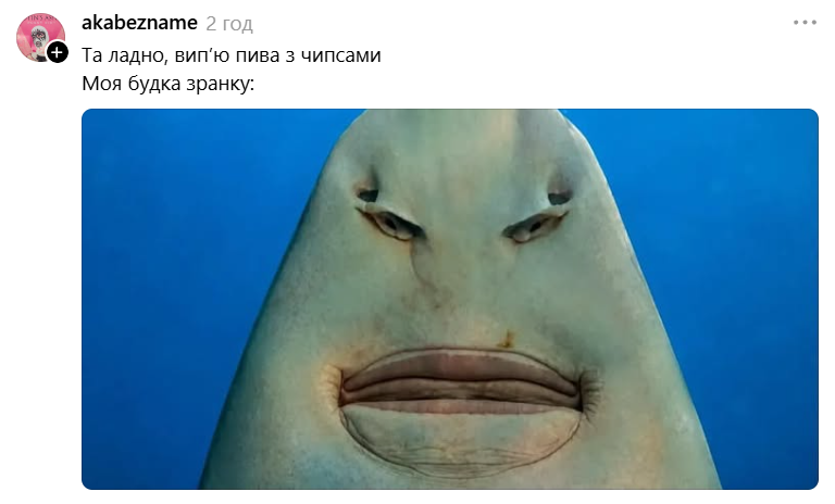 Меми з упоротою акулою, яка стала символом фатальної помилки - фото 893165