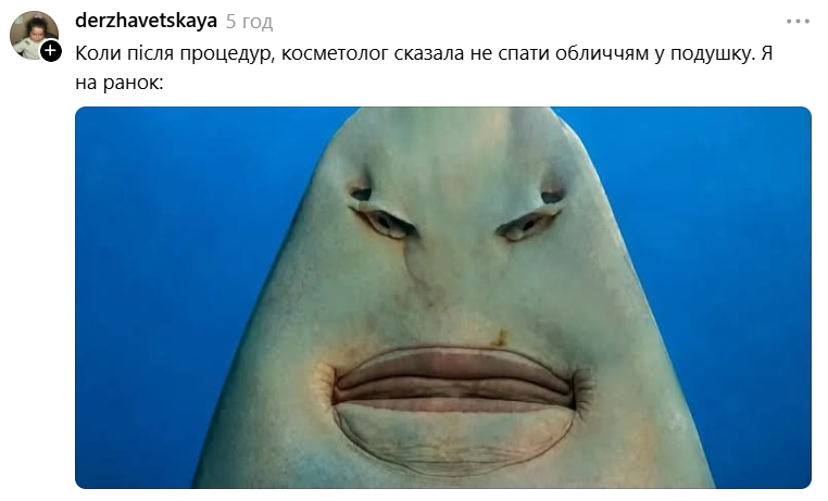 Меми з упоротою акулою, яка стала символом фатальної помилки - фото 893166