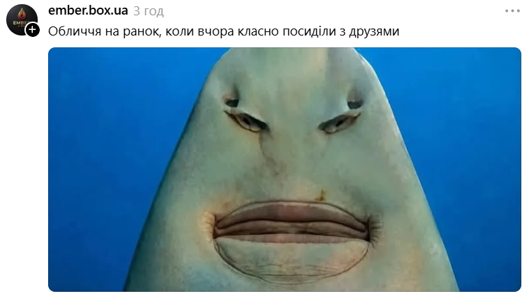 Меми з упоротою акулою, яка стала символом фатальної помилки - фото 893167