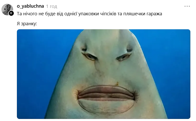 Меми з упоротою акулою, яка стала символом фатальної помилки - фото 893168