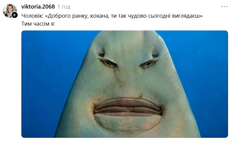 Меми з упоротою акулою, яка стала символом фатальної помилки - фото 893169