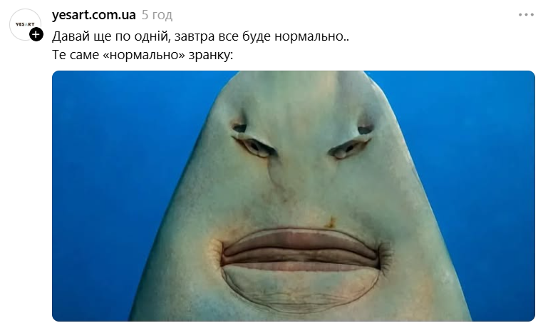 Меми з упоротою акулою, яка стала символом фатальної помилки - фото 893171